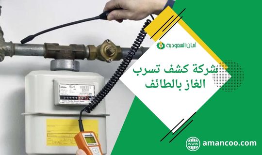 شركة كشف تسرب الغاز بالطائف